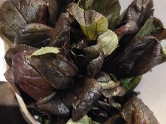 -番食园鲜食火锅(高新店)