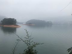 -广州市流溪河国家森林公园