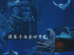 -波塞冬海底世界