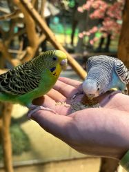 -酷嗒动物文化乐园(cutezoo西溪乐天城店)