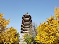 -玲珑塔公园