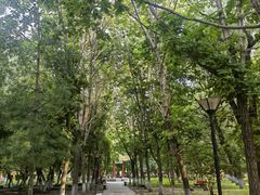 -黑龙江大学