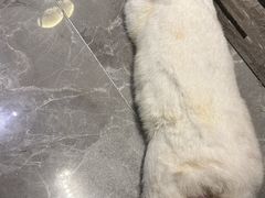 -东安鸡馆(蔡锷南路店)