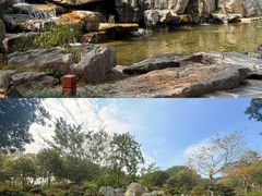 -东莞植物园