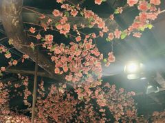 -黄家码头老火锅(解放碑旗舰店)