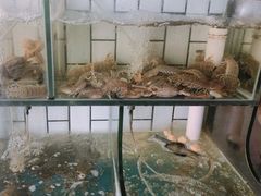 -阿凡海鲜(甬港北路店)