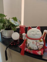 -Fundi张玉珊修身堂·indiba·BTL科技瘦身