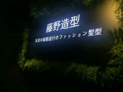点击看大图 -藤野造型