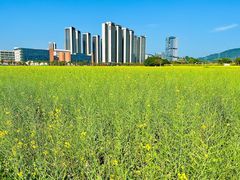 -光明小镇欢乐田园