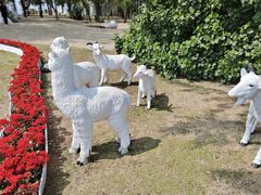 -玫瑰海岸文化旅游度假区