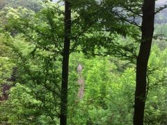 -重庆彩云湖湿地公园