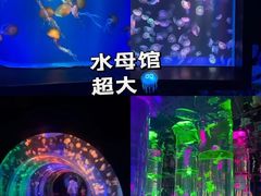-海合安成都极地海洋公园