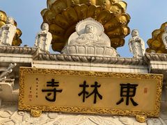-上海东林寺(金山区)