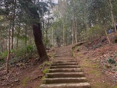 -上海佘山国家森林公园天马山园