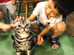 -藦茜花园宠物主题亲子互动体验馆(国顺东路店)