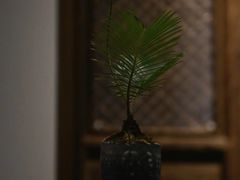 -德迹斋禅意文化茶馆·茶空间·商务洽谈•宴席(桃园店)