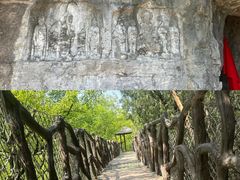 -抱犊崮国家森林公园