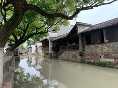 -乌镇东栅景区