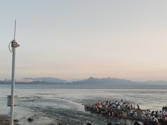 -深圳湾公园(南山区)