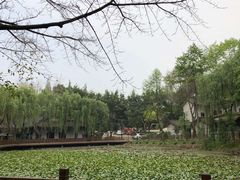 -巴山一绝烤全羊(三圣乡刘家花园店)