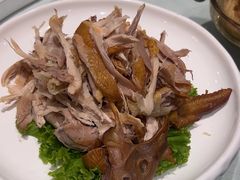 -海派美食·家宴海鲜青岛菜·石锅鲽鱼头(东方城店)