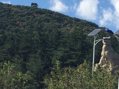 -和平大戏院(工人文化宫店)