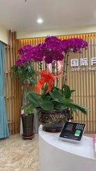 -国际月月生母婴月子中心(旗舰店)