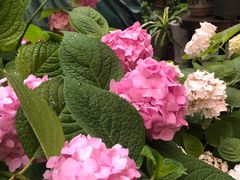 -T-COFFEE(长江花园店)