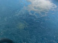 -大自然会所(阳光店)