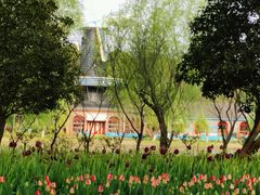 -上海鲜花港