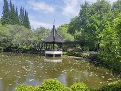 -上海醉白池公园