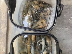-DGE季风钓虾营地·团建·聚会