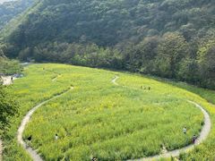 -临平公园(临平街道)