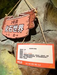 -探洞工场(丰科万达旗舰店)