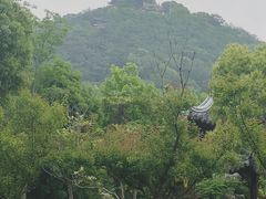 -狼山风景名胜区