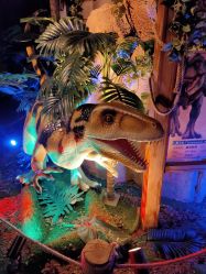 -恐龙探索乐园(磁器口店)