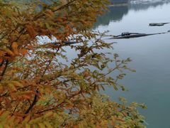 -仙海旅游度假区