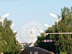 -特克斯八卦城