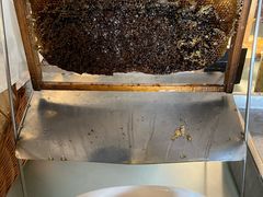 -深圳东部华侨城茵特拉根酒店