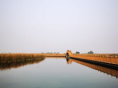 -白洋淀风景区
