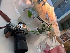 -春树下·树屋花房西餐厅(罍街AS1980店)