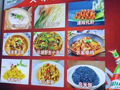 -天乐农家鱼头王(天目湖店)