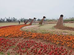 -漩门湾国家湿地公园