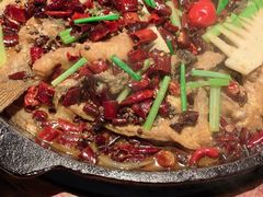 -老板恋上鱼(高新万达店)