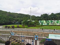 -深圳野生动物园
