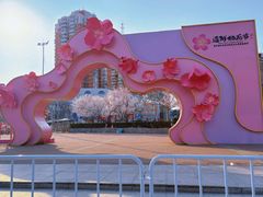-桃花堤公园