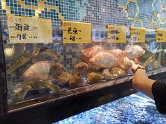 -寻味顺德·珍之宝酒楼(银钻店)