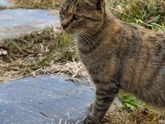 -野鸭湖国家湿地公园