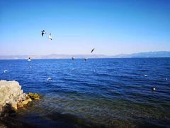 -抚仙湖禄充风景区