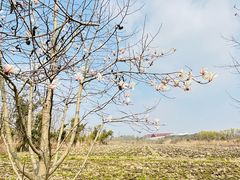 -广富林郊野公园